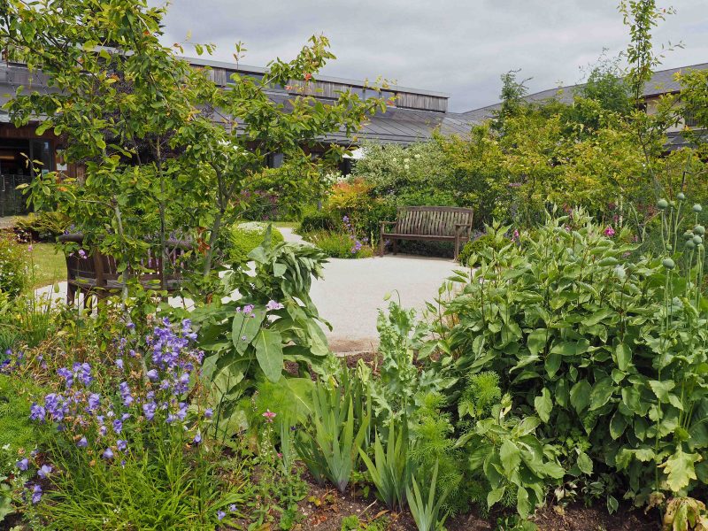 The garden at St Peter's Hospice, Brentry